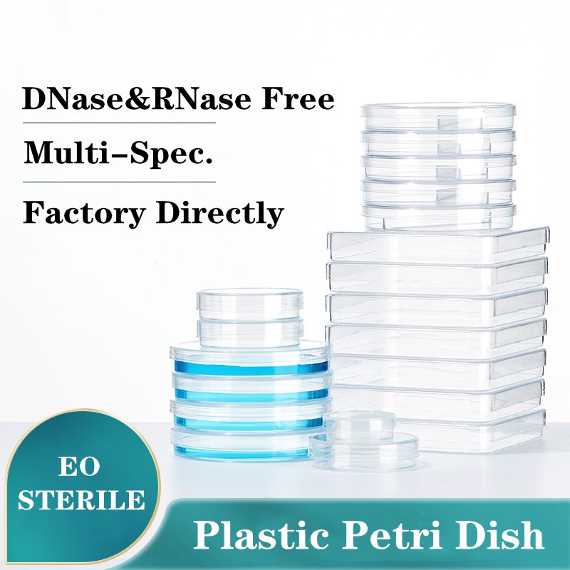 petri dish