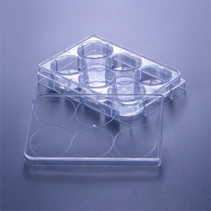 cell culture treated plates