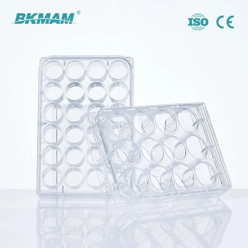 Cell Culture yog dab tsi