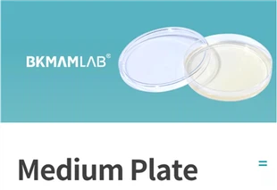 Culture Medium Lab Siv Tryptone Soy AGAR (triple Pack) TSA AGAR Plate 9cm Nutrient Agar Medium Phaj